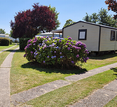 Vue des mobil-homes en location au camping La Petite Ville à Pordic